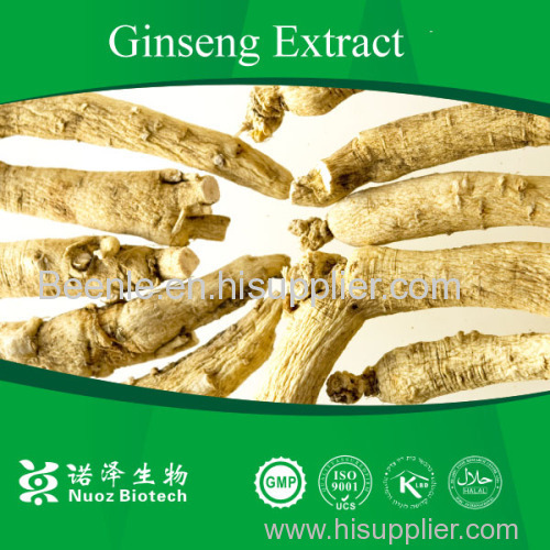 Ginseng Extract Manufacturer sale high quality ginseng root extract