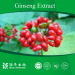 Factory Supply Panax Ginseng Root P.E. Powder