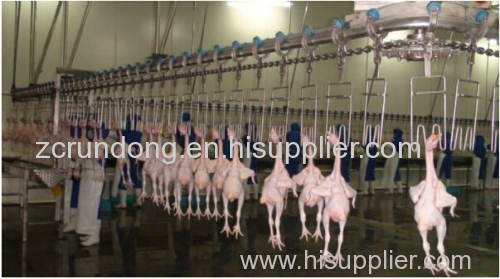 Poultry slaughtering equipment chicken