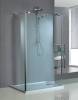 Walk-in Shower Enclosure/Shower Door