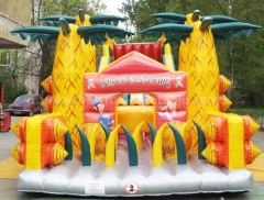 Backyard inflatable slide toys