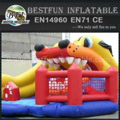 Best material inflatable slide