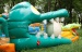 Commercial dragon inflatable dry slide
