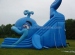 Popular inflatable cartoon slide