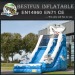 Small shark indoor inflatable slide