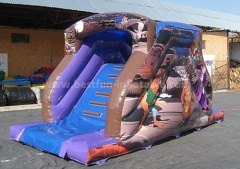 Fantastic inflatable dry slide