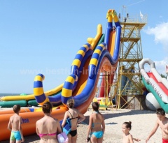 Giant inflatable hippo slide