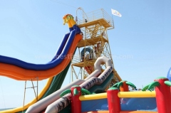 Giant inflatable hippo slide