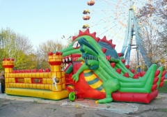 Huge inflatable adult slide