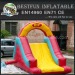 Happy inflatable slide for children