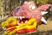 Inflatable dragon slide toys
