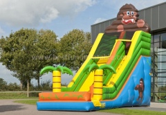 Inflatable combo slide with covering