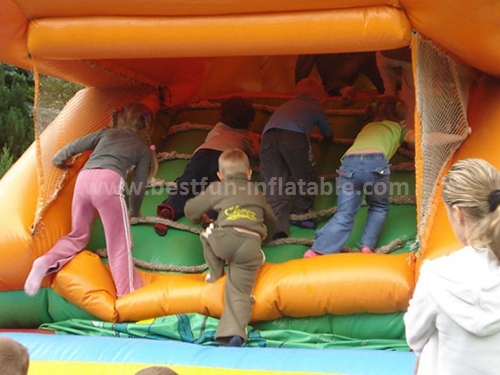 Inflatable duck slide sale