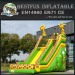 Fantasy inflatable animal slide