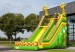 Fantasy inflatable animal slide
