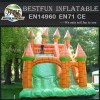 Inflatable single lane slide