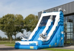 Inflatable super surfer slide