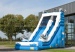 Dolphin inflatable bouncer slide combo