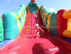 Jungle mania inflatable slide