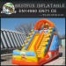 Sea world inflatable slides