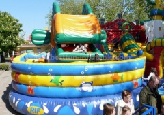 Snappy fish inflatable slide for sale