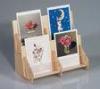 Panel Acrylic Display Stands 2 Wide Greeting Card For Book Stores