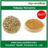 Top Grade Tribulus Terrestris