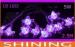 Holiday Purple 10pcs Bulbs Flexible LED String Light With CE Approved