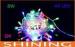 Multi-Color 220V Waterproof LED String Lights For Outdoor Decoration