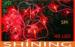 Red 40pcs Bulbs 220V Outdoor LED String Light With ROHS / CE Approved