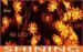 Yellow Flower Shape Outdoor LED String Light 106W For Party Lighting
