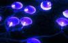 Purple Energy Saving Waterproof LED String Lights With Memory Controller