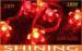 Indoor 220V / 110V ROHS Red LED Decorative String Light 50000h Long Life