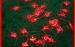 Waterproof 110V red LED String Lights , Festival LED Fairy Light
