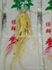 Plastic bag packing ginseng