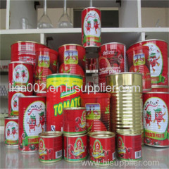 High quality tomato paste in Canned