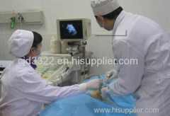 Renal Biopsy Renal Biopsy Renal Biopsy