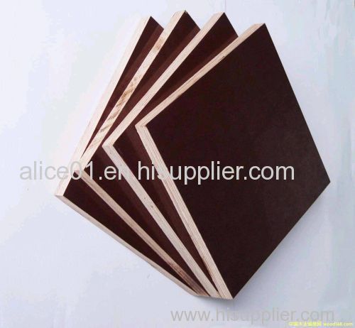 Poplar core Film Faced Plywood ISO9001:2000 Standard with Melamine glue