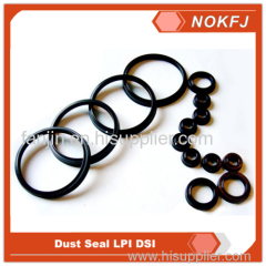 Excavator Spare Part Oil Seal DSI LPI Dust Seal