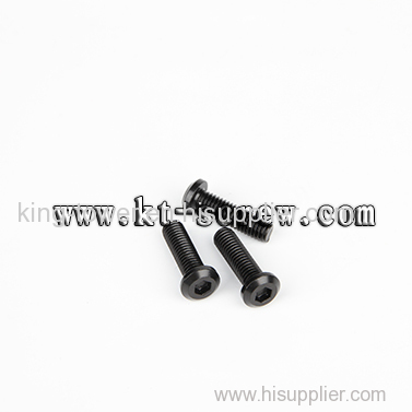 black oxide truss philip head laptop screw (with ISO card)