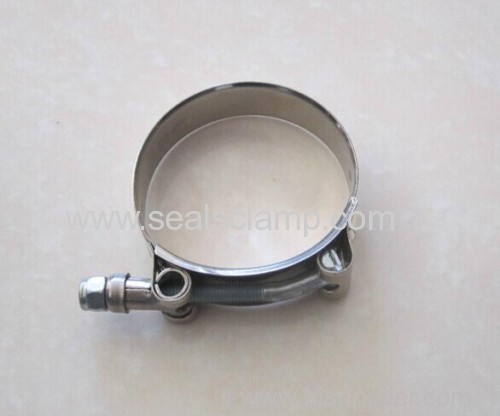 T bolts type hose clamps