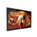 1920 * 1080 HD 55 Inch LCD Digital Signage Display With USB / SD Card Interface , 500cd/m