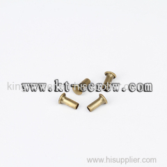 China screw manufacturer of Hollow rivet