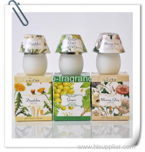 242g Decorative scented Glass candle jar