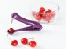 Cherry Pitter Removal Core Easy Squeeze Grip Kitchen Tool