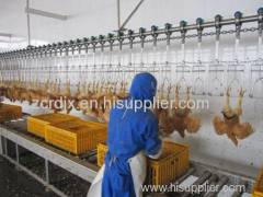 poultry slaughter line slaughterhouse abattoir equipments