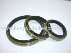 High Quality Double Lip Oil Seal for Mud Pump