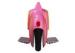 One Wheeled Personal Transportation Motorized Standing Unicycle / Electric Monocycle