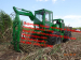 4 wheels sugarcane grab loader working in South Africa