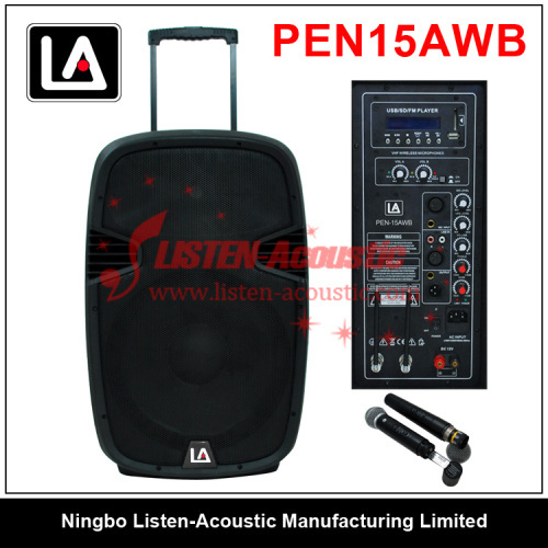 15'' Active Wireless Speaker PEN15AW / PEN15AWB Similar to EON